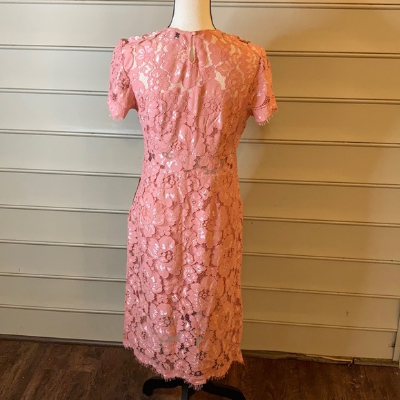 NWT NSR Lace Pink Sheath Dress Short Sleeve - Picture 6 of 10